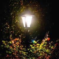 Customer Photo by Simon Malik in Sussex Customer Photo by Simon Malik in Sussex