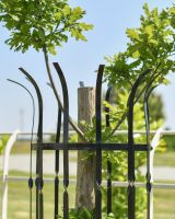 Close up of top detailing on classic black tree guard