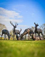 Stag and Doe Sculpture collection of six Stag and Doe Sculpture collection of six