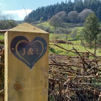 7" Iron Initial Heart in Situ