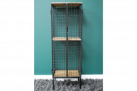 Freestanding Caged Storage Cabinet in Situ Freestanding Caged Storage Cabinet in Situ