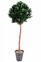 “New Moon Lodge” contemporary aluminium planters finished in “moonlight” colour wash