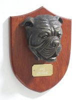 Bogue De Bordeaux Trophy