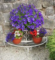 “Lady Eunice” Vintage, half moon, floral display stand