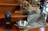 Chow Chow Bronze Dog Treat Jar