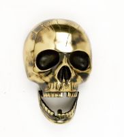 Polished Brass Deluxe Skull