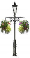 Grape Vine Hanging Basket Bracket