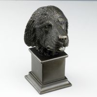 Newfoundland Dog Bust