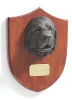 Newfoundland Trophy