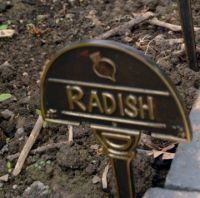 VEGETABLE SIGNS - RADISH
