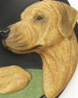 House Sign - Hand Painted - Rhodesian Ridgeback House Sign - Hand Painted - Rhodesian Ridgeback