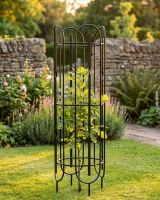 "Pemberton" Tree Guard digital illustration "Pemberton" Tree Guard digital illustration