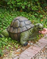 "Terrence" the Tortoise Fibreglass Garden Ornament with a Hand in Shot for Scale in a Garden "Terrence" the Tortoise Fibreglass Garden Ornament with a Hand in Shot for Scale in a Garden