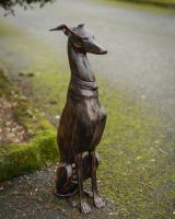 "Albus" the Sitting Greyhound Cast Aluminium Garden Sculpture