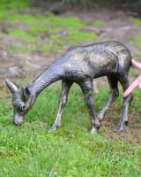 "Arwen" the Grazing Fawn Cast Aluminium Garden Sculpture on a Garden Lawn with Hand in Shot for Scale