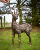 "Ash" the Cast Aluminium Observant Stag Garden Sculpture with hand in shot for scale