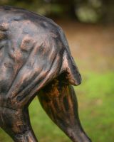 "Ash" the Cast Aluminium Observant Stag Garden Sculpture close up of tail
