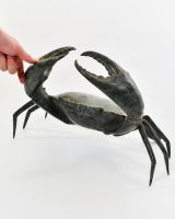 "Aurelian Aegis" Crab Sculpture in Cast Brass with hand in shot for scale