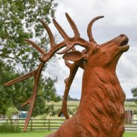 View of the Head of the “Balfour Glen” Stag Cast Iron Garden Statue