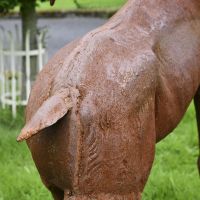 Close-up of the Rustic Finish on the “Balfour Glen” Stag Cast Iron Garden Statue