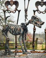 “Bones” the loyal Skeleton Dog Sculpture low angle