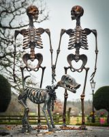 “Bones” the loyal Skeleton Dog Sculpture with skeleton owners