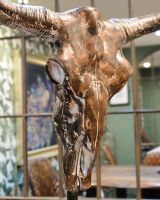 "Dakota" Cast Aluminium Bison Skull close up