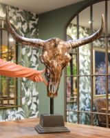 "Dakota" Cast Aluminium Bison Skull with hand in shot for scale