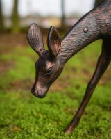 "Ember" the Cast Aluminium Grazing Doe Garden Sculpture close up of head "Ember" the Cast Aluminium Grazing Doe Garden Sculpture close up of head
