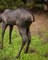 "Ember" the Cast Aluminium Grazing Doe Garden Sculpture close up of rear legs "Ember" the Cast Aluminium Grazing Doe Garden Sculpture close up of rear legs