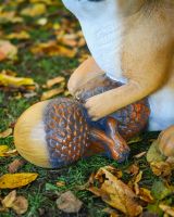 "Fidget" the Handpainted Fibreglass Squirrel Garden Sculpture close up of acorn