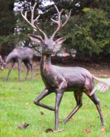 "Flint" the Cast Aluminium Gazing Stag Garden Sculpture Positioned on a Lawn with a Hand in Shot for Scale "Flint" the Cast Aluminium Gazing Stag Garden Sculpture Positioned on a Lawn with a Hand in Shot for Scale