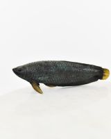 "Gilded Current" Cast Brass Fish Ornament