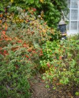 Marble suncatcher garden ornament