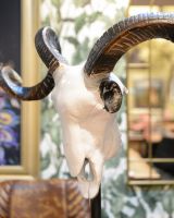 "Helix" Cast Aluminium Ram Skull close up