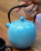 "Hoshi" Speckled Cast Iron Japanese Teapot with Hand in Shot for Scale "Hoshi" Speckled Cast Iron Japanese Teapot with Hand in Shot for Scale