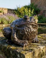 “Jabban Ponds” Bronze Metal Toad Sculpture Digital Illustration “Jabban Ponds” Bronze Metal Toad Sculpture Digital Illustration