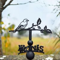 Jay weathervane located in the countryside