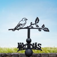 Jay weathervane on a sunny day