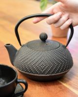 "Koshi" Cast Iron Japanese Style Teapot in a Black and Gold Finish with Hand in Shot for Scale