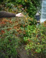 "Magma" Suncatcher Garden Stake large