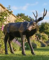 "Magnus" Buck Garden Sculpture digital illustration