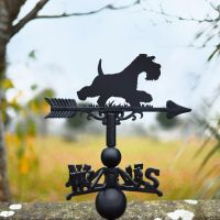 Minitiature schnauzer running weathervane in the countryside