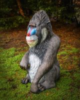 "Patriarch Mandrill" Fibreglass Garden Sculpture facing right