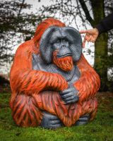 "Patriarch Orangutan" Fibreglass Garden Sculpture with hand in shot for scale