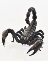 "Primal Sting" Cast Brass Scorpion Sculpture high angle shot