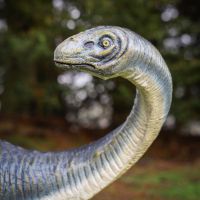 "Primeval Colossus" Diplodocus Fibreglass Garden Sculpture close up of head