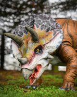 "Primeval Protector" Triceratops Fibreglass Garden Sculpture close up of head