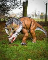 "Primeval Protector" Triceratops Fibreglass Garden Sculpture close up image