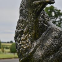Close-up of the Detail on the “Renwick” Stag on Rock Sculpture Close-up of the Detail on the “Renwick” Stag on Rock Sculpture